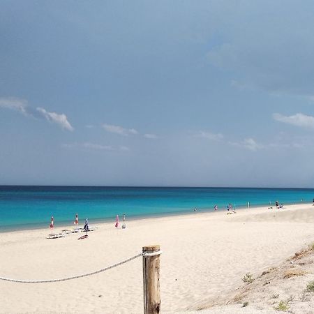 Aquamarine Residence 다볼리 외부 사진